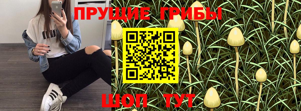 Клин  Псилоцибиновые грибы прущие грибы  Вход с VPN  Псилоцибиновые грибы Magic Shrooms 